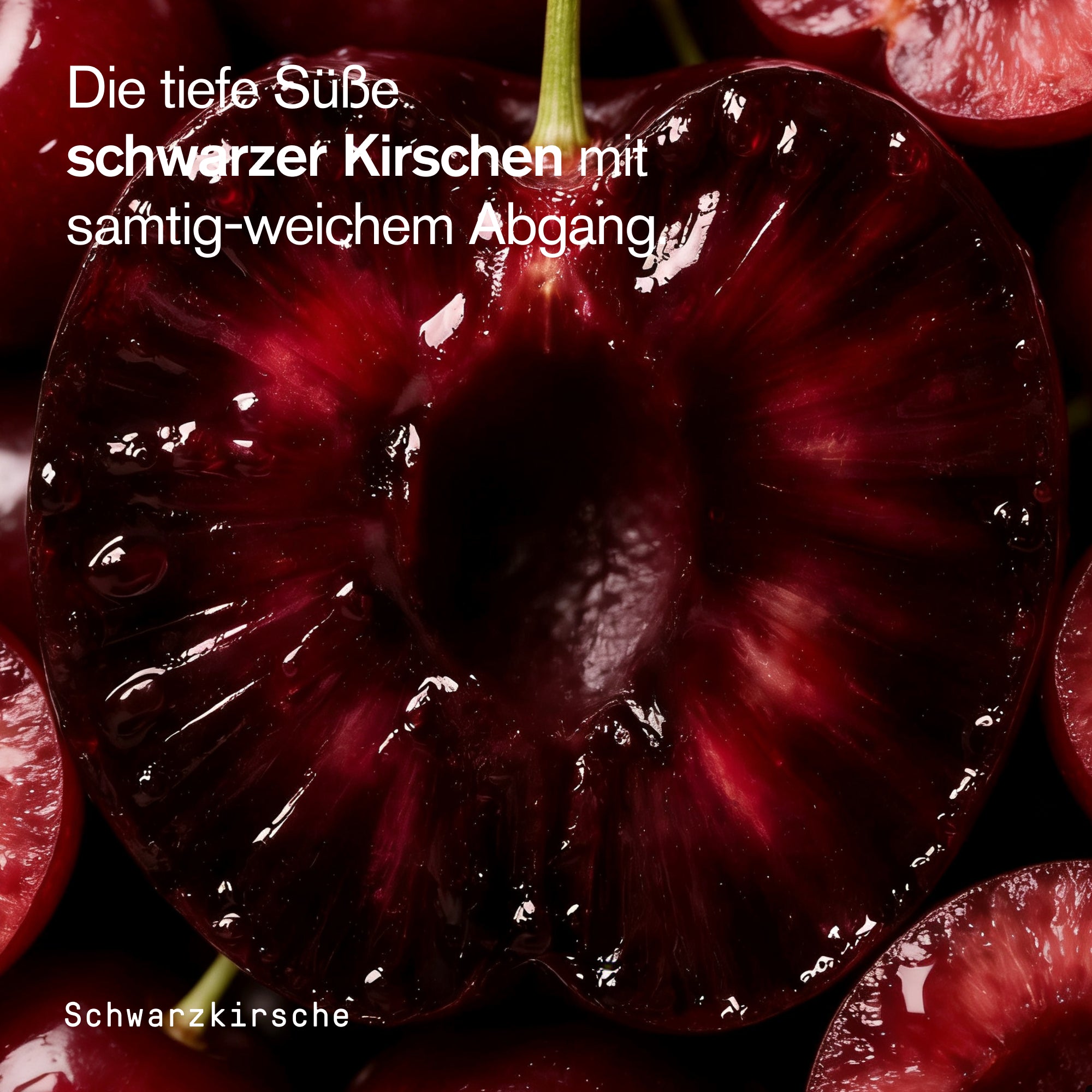 Schwarzkirsche