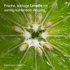 Himalaya-Limette