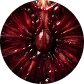 Schwarzkirsche